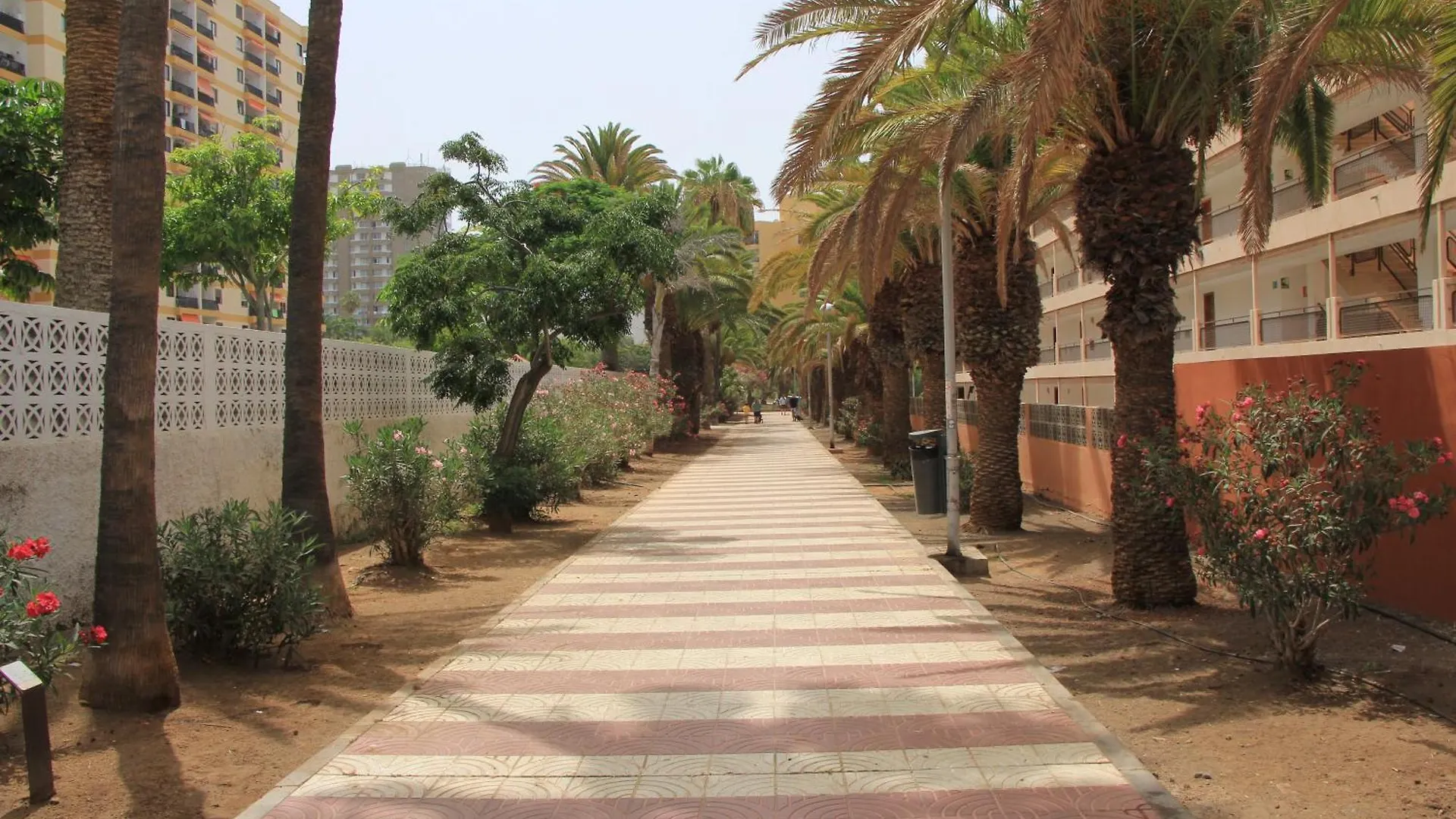 Los Cristianos - Two Bedrooms - Flayla-C Spanje